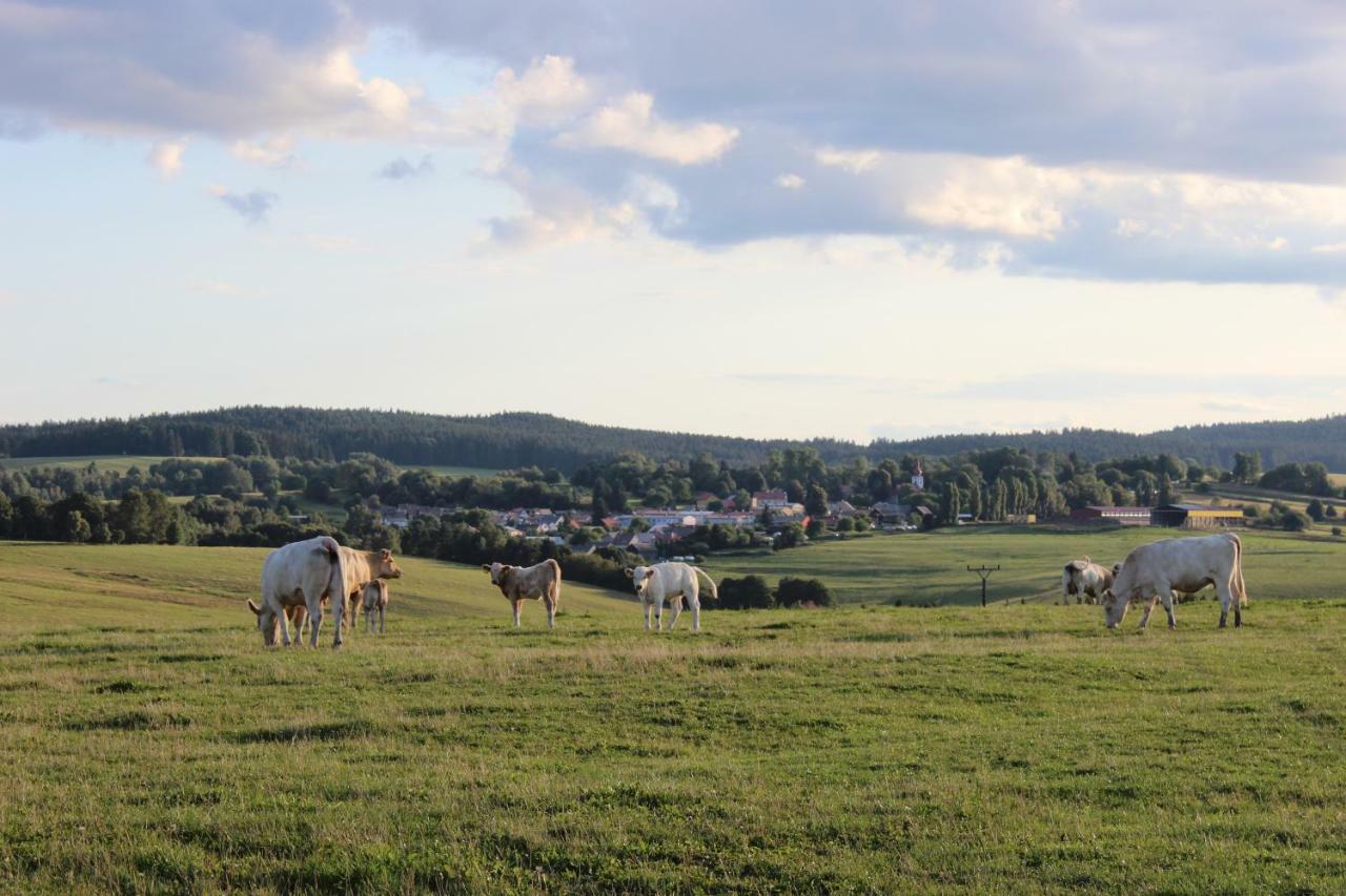 Ctyri Pokoje Tachov (Plzen) Exterior foto